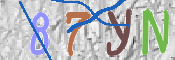 CAPTCHA 驗證圖片