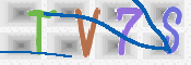 CAPTCHA 驗證圖片