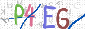 CAPTCHA 驗證圖片